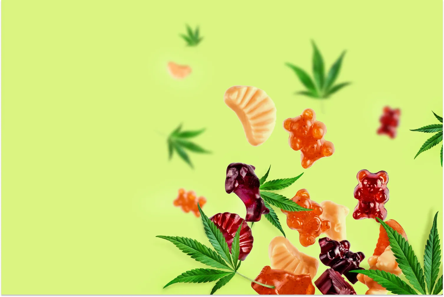 CBD Gummies