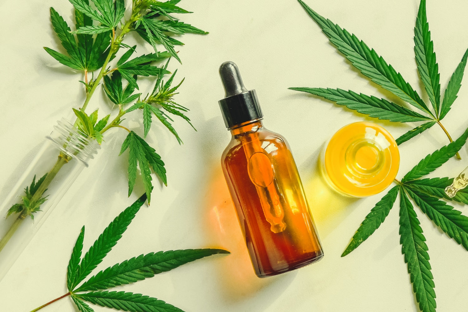 What’s the Difference Between CBD and Hemp?