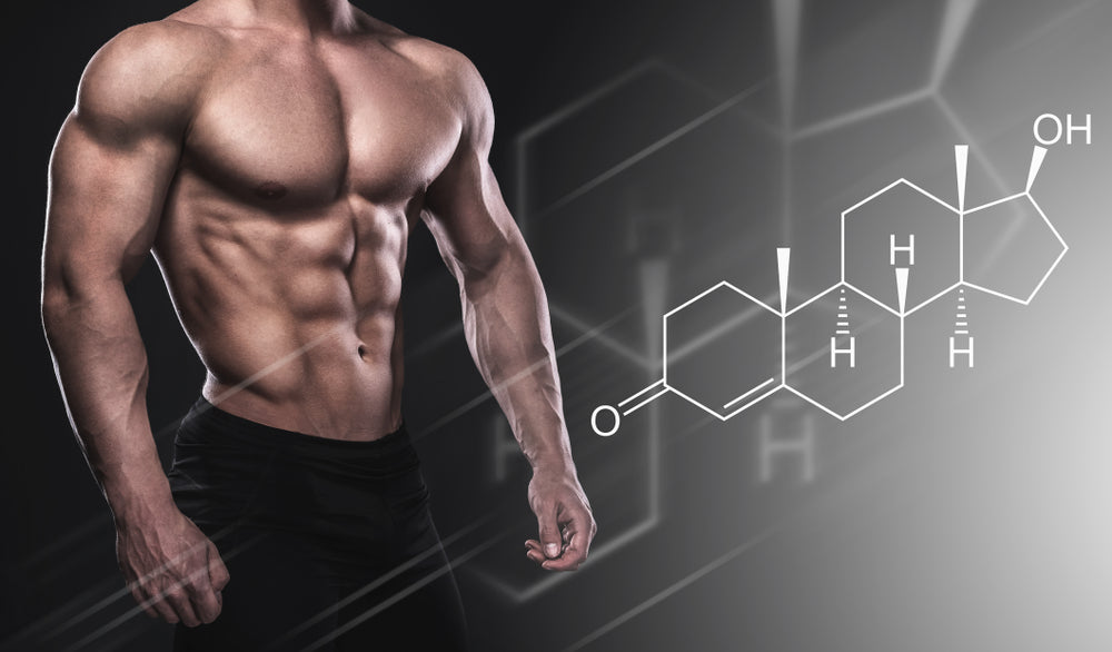 How Does CBD Affect Testosterone?