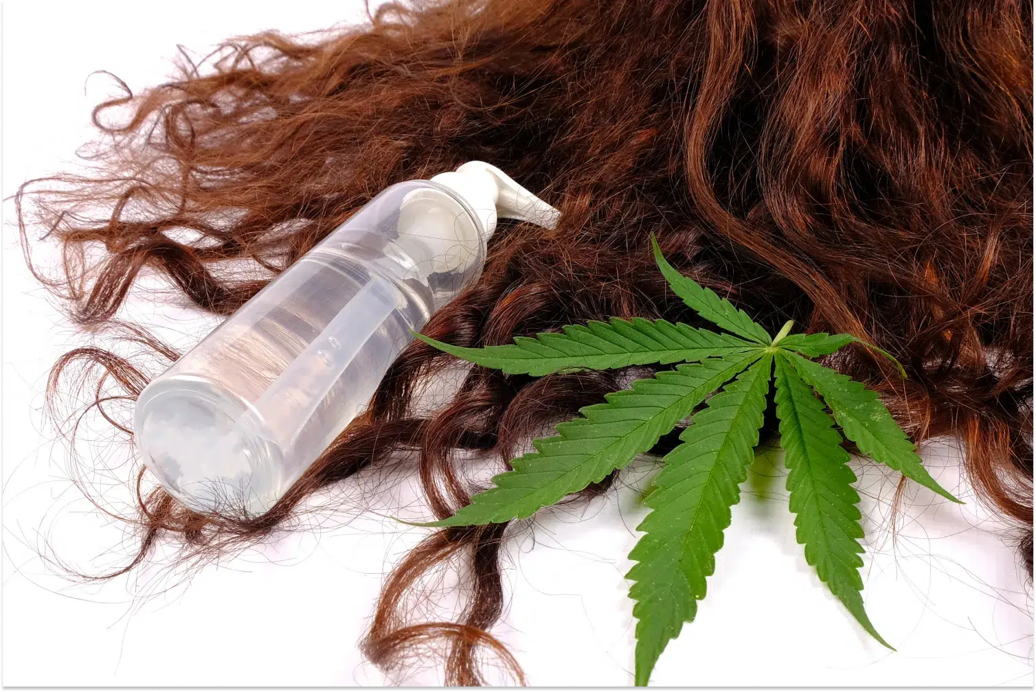 How Does CBD Affect Hair Loss And Growth?